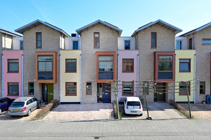 Korenbloem 37