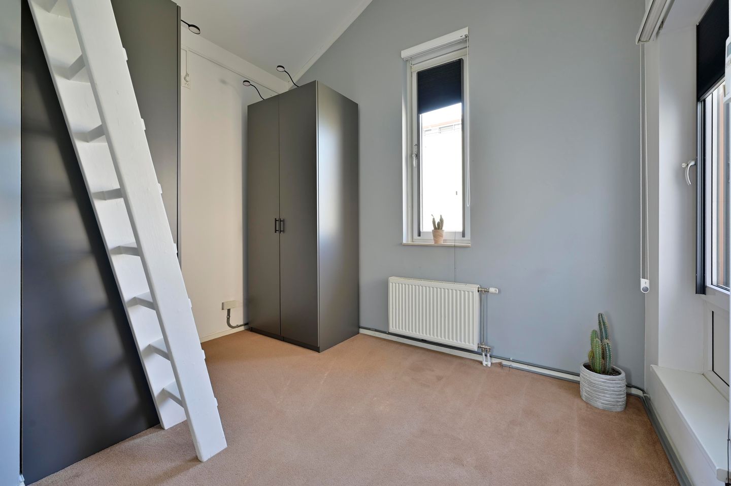 Foto 19 van Korenbloem 37