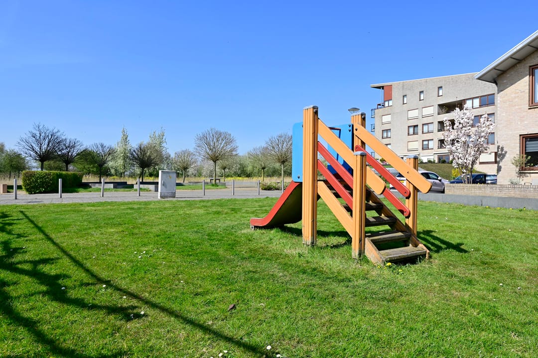 Foto 31 van Korenbloem 37