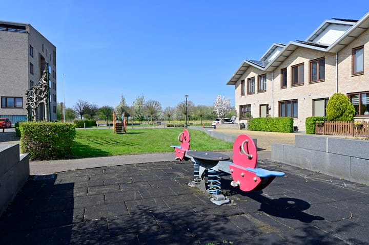 Foto 32 van Korenbloem 37