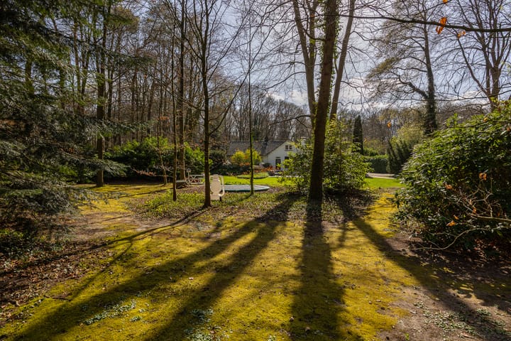 Foto 55 van Lochemseweg 49