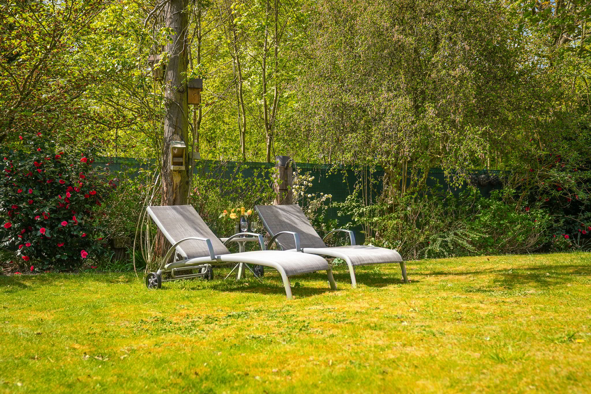 Photo 45 of Rozemarijnhof 9