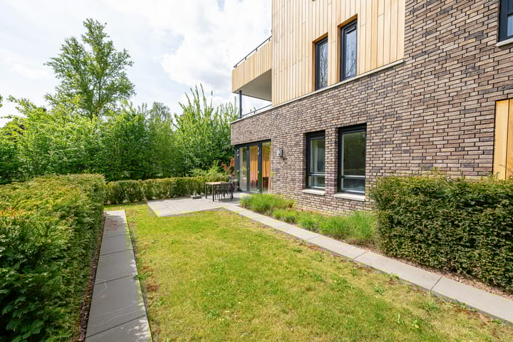 Foto 5 van Stedendwinger 41-A03