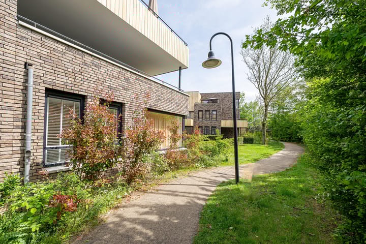 Foto 20 van Stedendwinger 41-A03