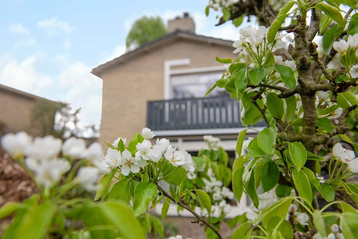 Foto 4 van Sara Mansveltweg 3