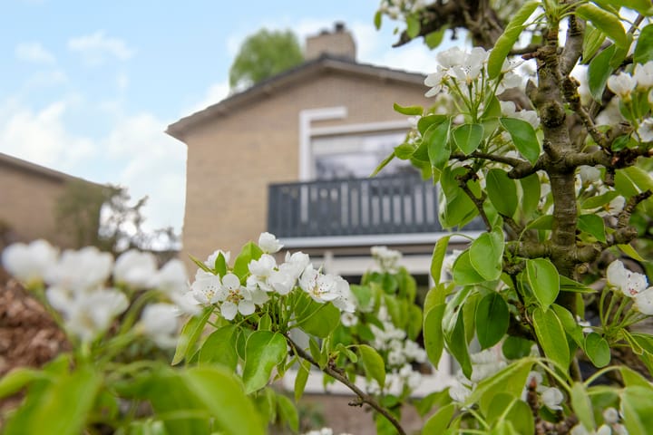 Foto 4 van Sara Mansveltweg 3