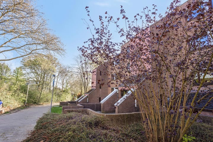 Foto 31 van Barbarapad 16