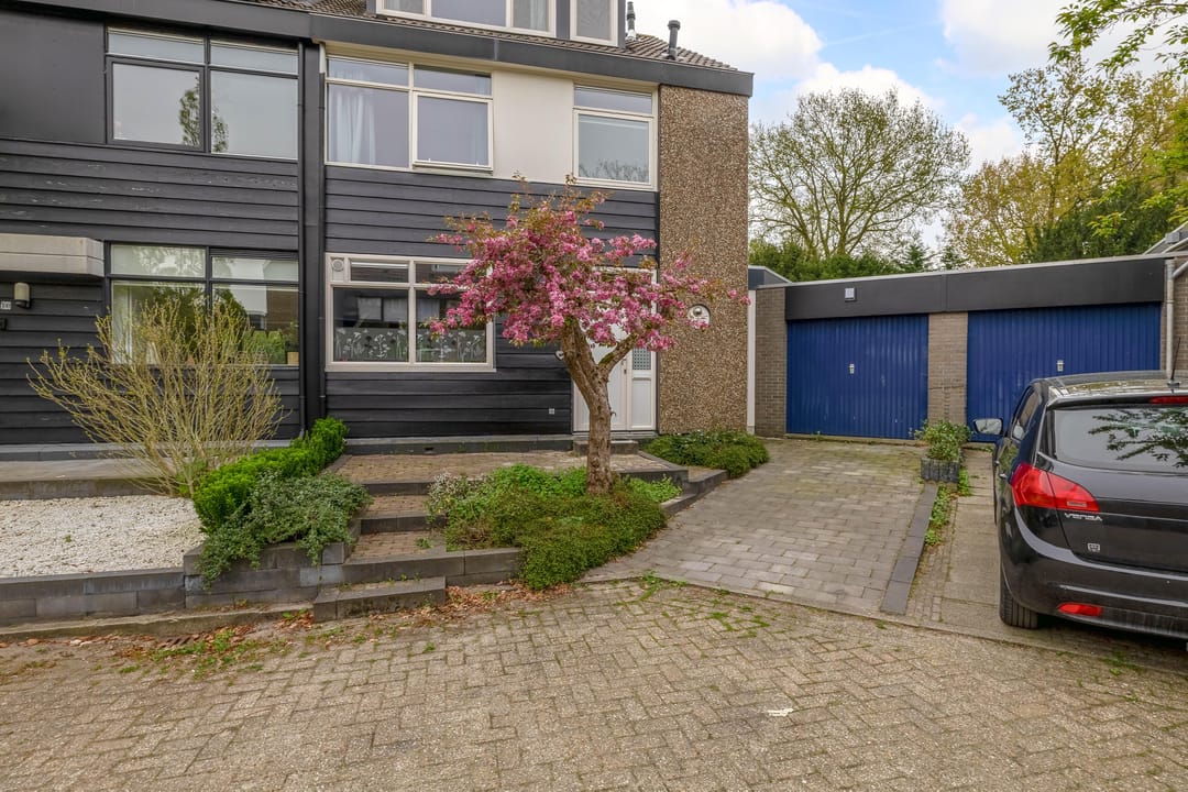 Foto 8 van Pluim-es 98