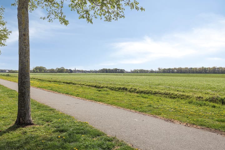 Photo 31 of Alexander de Grotestraat 18