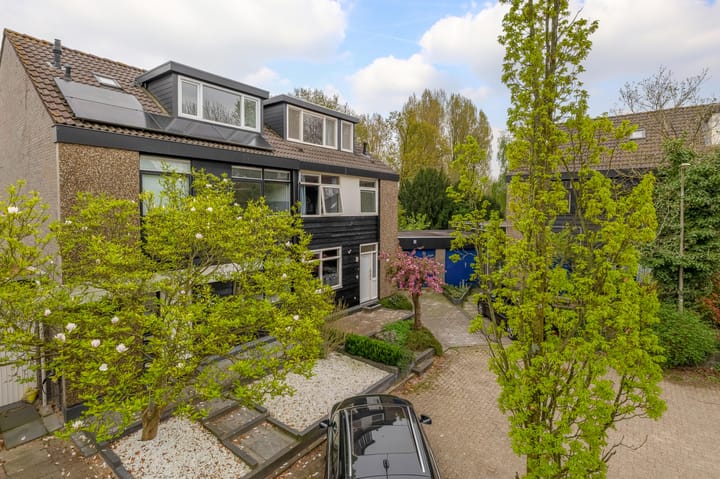 Foto 9 van Pluim-es 98