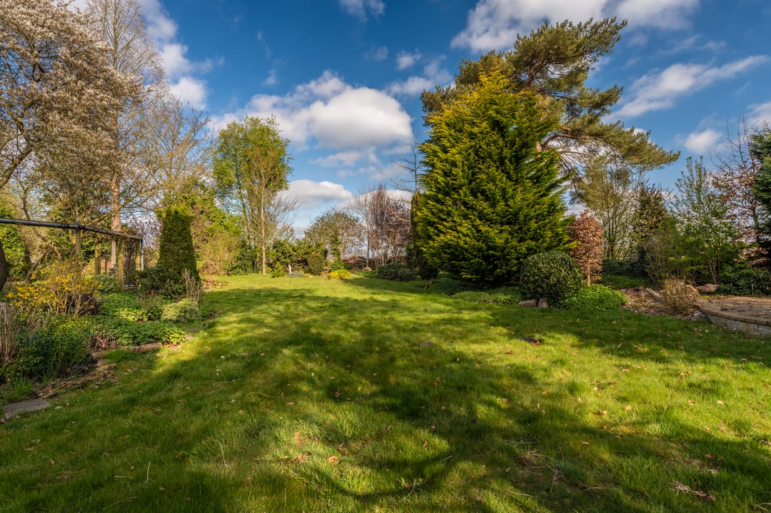 Photo 23 of Rhederweg 15