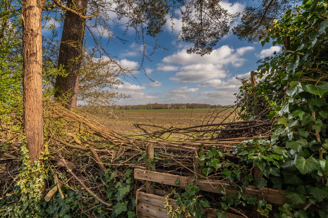 Photo 26 of Rhederweg 15