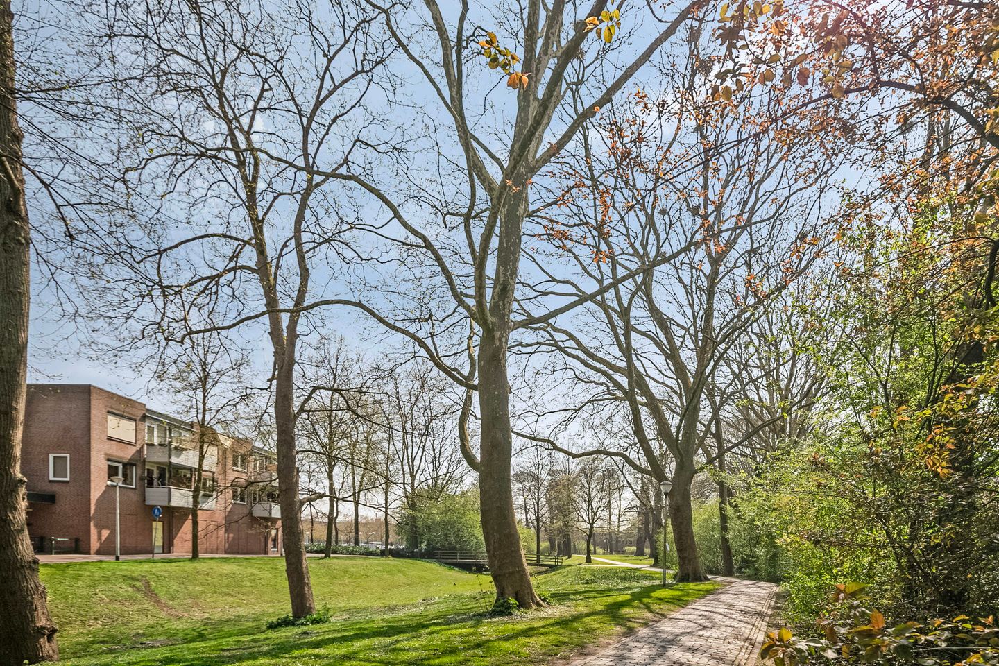 Foto 29 van Boompjeswal 21