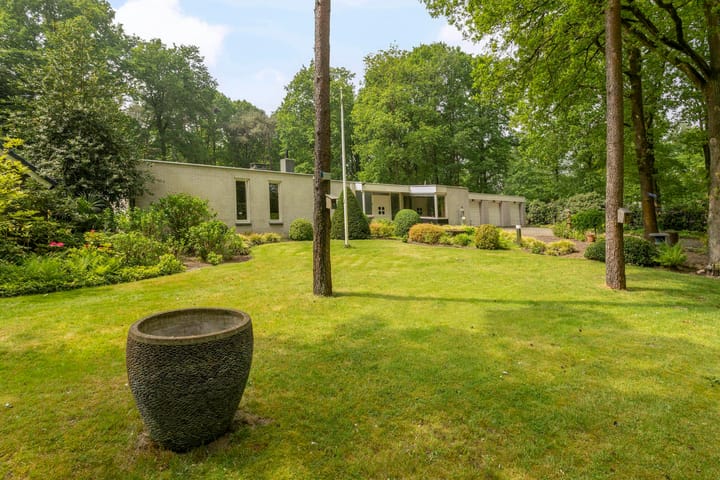 Foto 49 van Locht 127