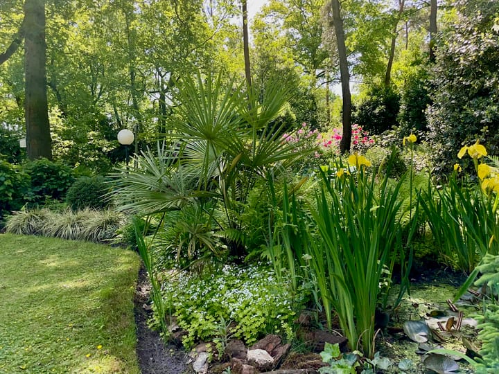 Foto 33 van Locht 127