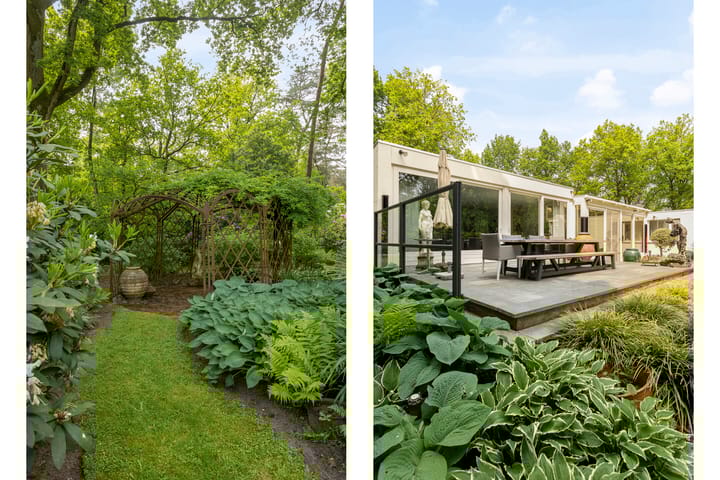 Foto 43 van Locht 127