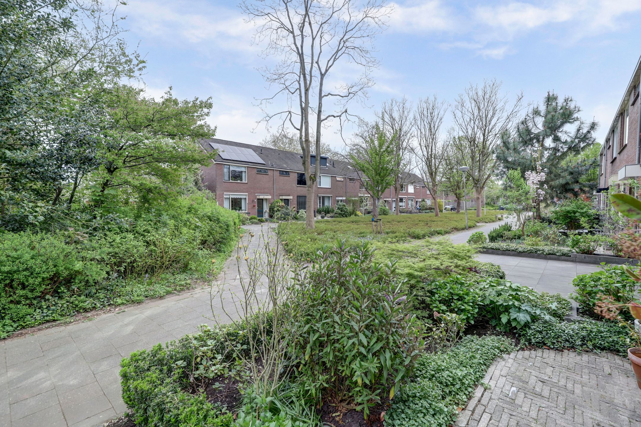 Foto 39 van Gravestein 17