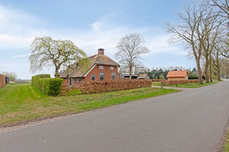 undefined main image