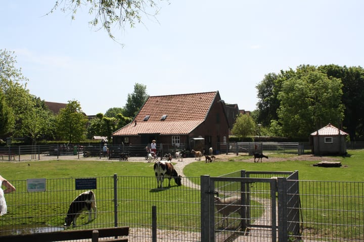 Photo 38 of Paganinistraat 98