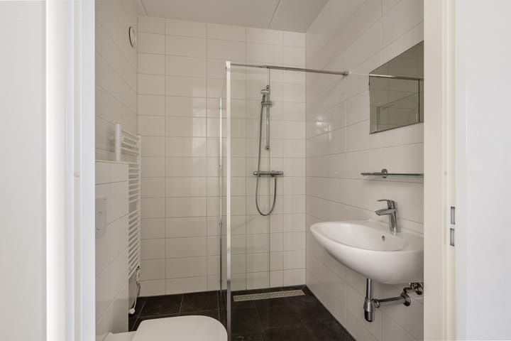 Foto 19 van Dijkshoornseweg 219