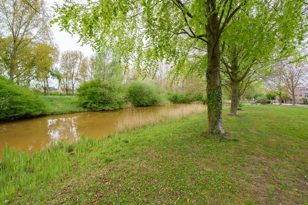 Foto 31 van Meindert Hobbemahage 57