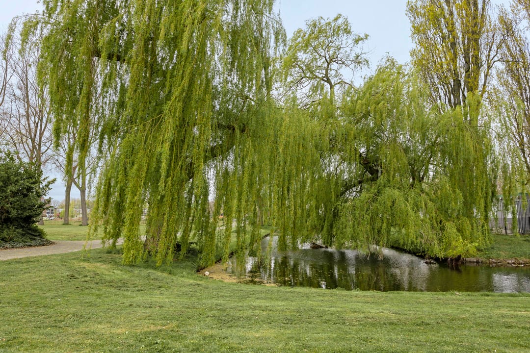 Foto 26 van Toverfluitstraat 70