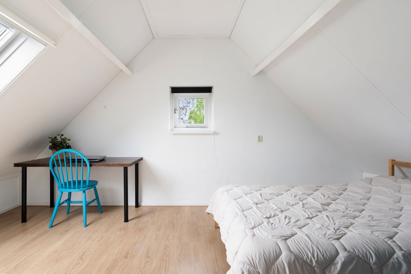 Foto 35 van Rietgors 12