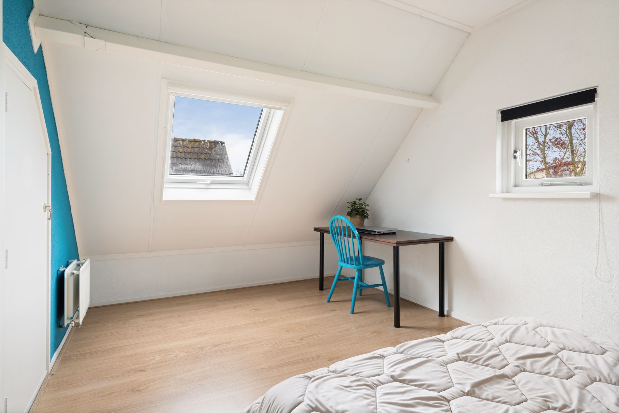 Foto 36 van Rietgors 12