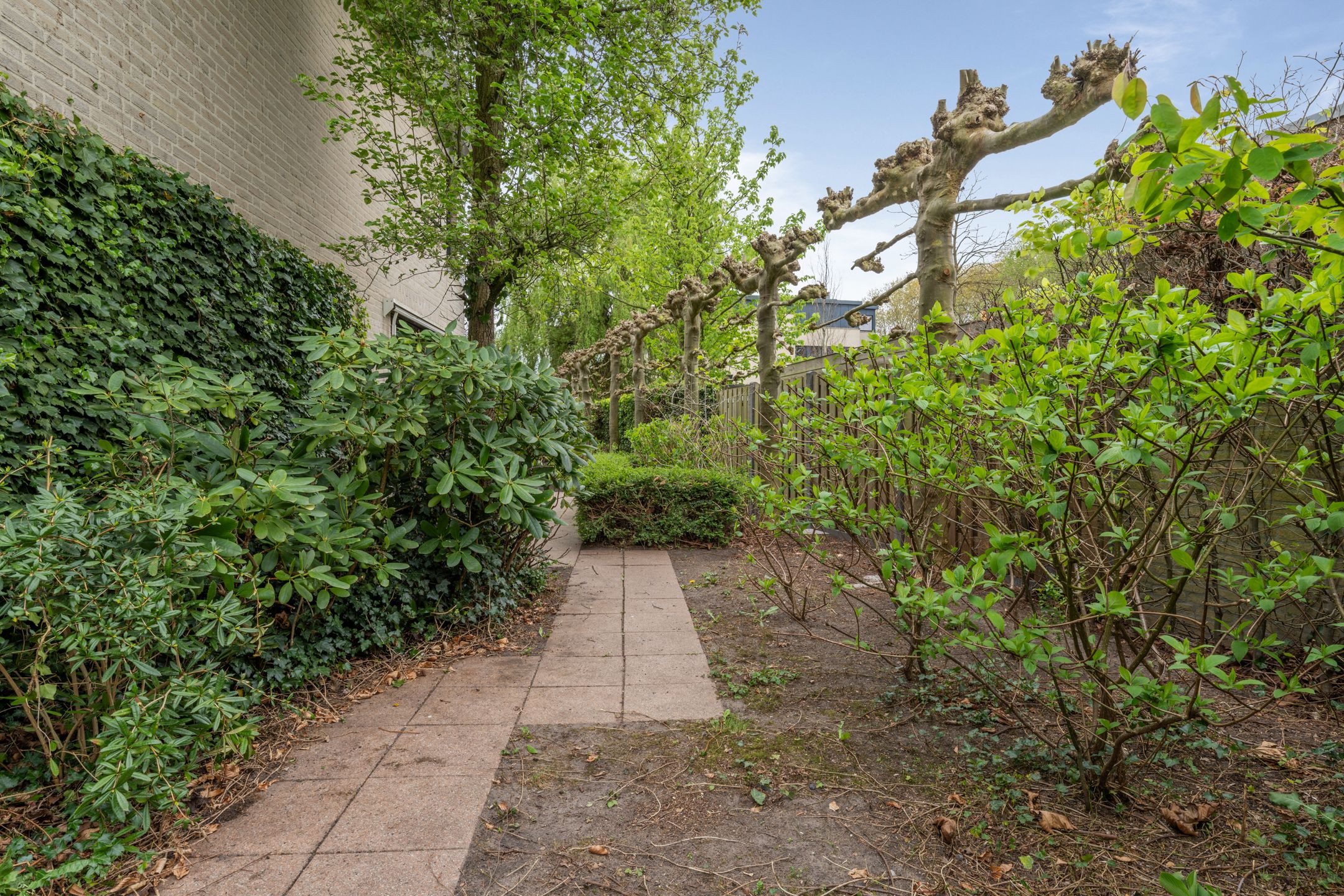 Foto 45 van Rietgors 12