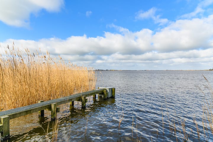 Foto 7 van De Hannen 2