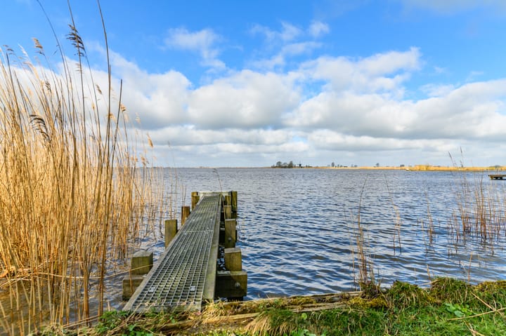 Foto 51 van De Hannen 2