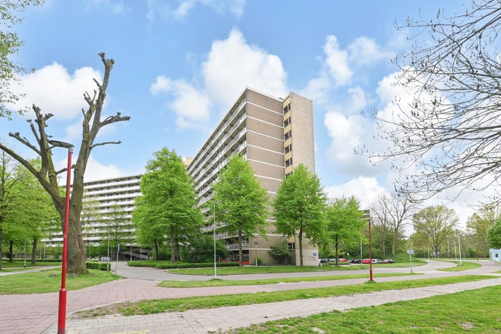 Foto 3 van Dunantstraat 873