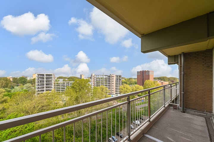 Foto 16 van Dunantstraat 873