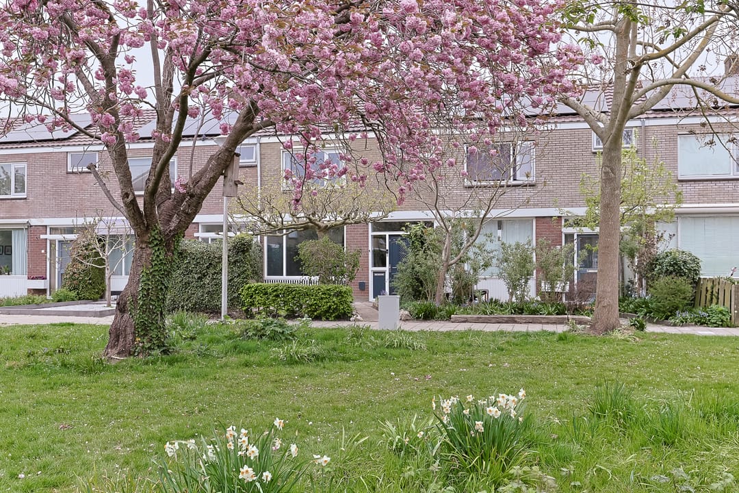 Foto 2 van 1672-Laan 30