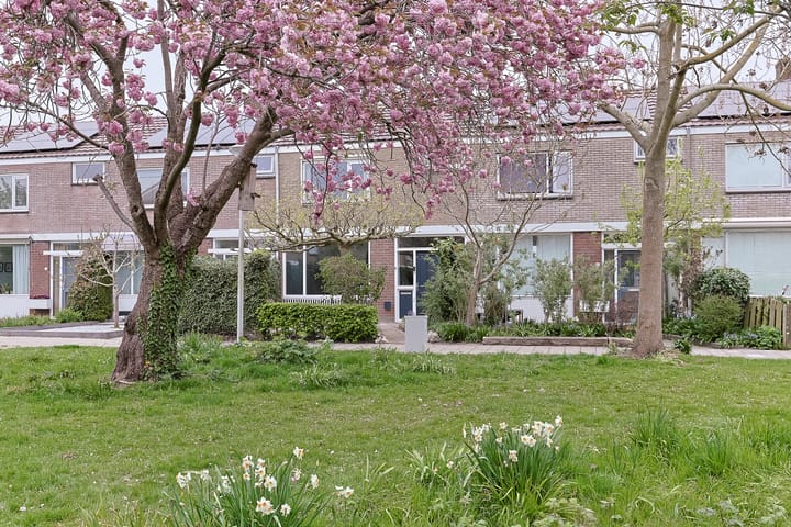 Foto 2 van 1672-Laan 30