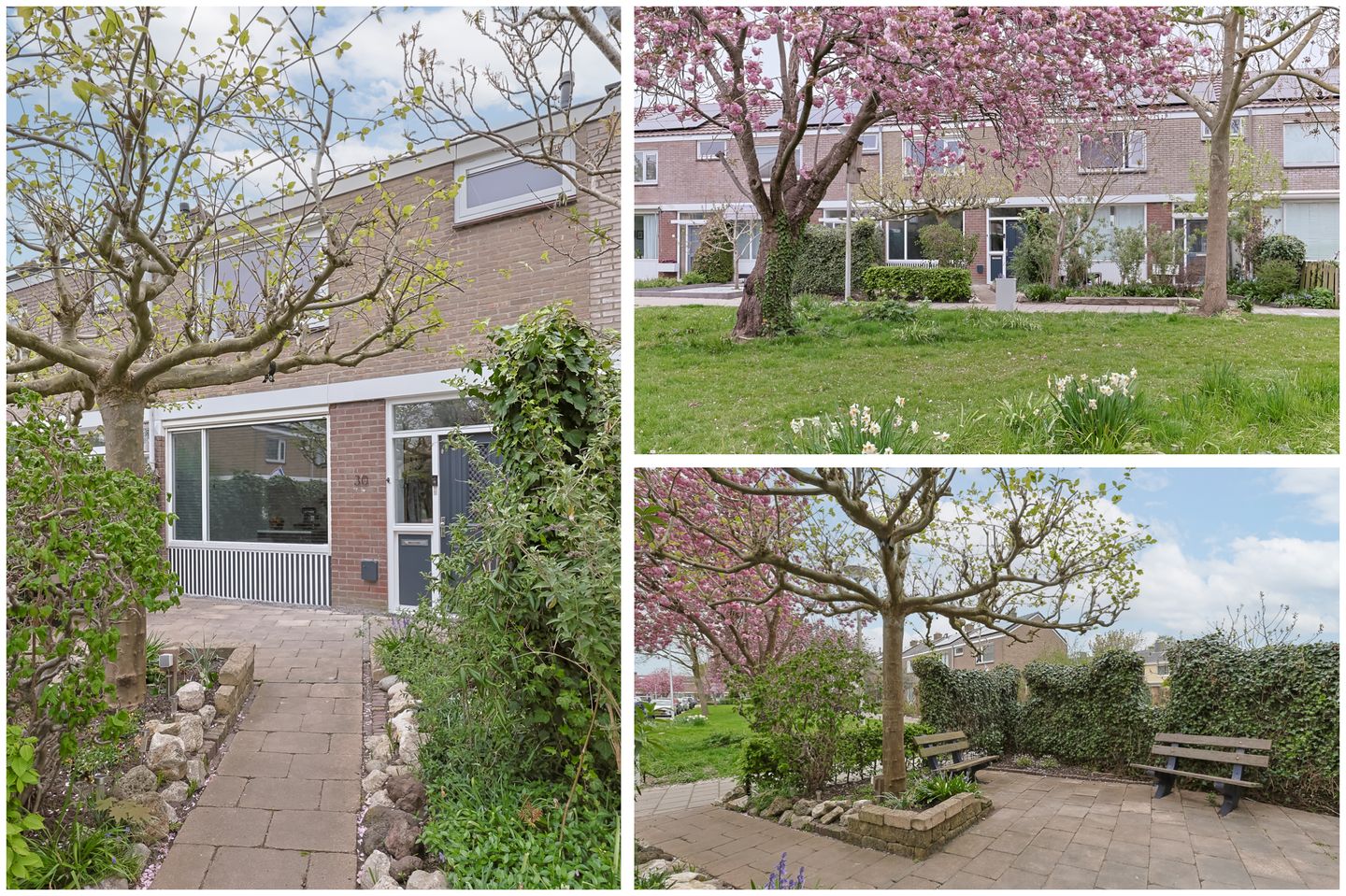 Foto 5 van 1672-Laan 30