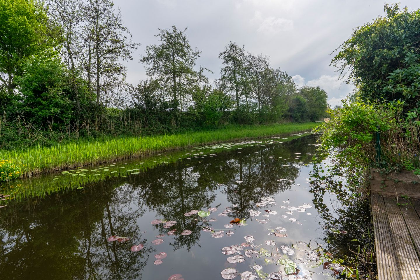 Foto 40 van Baarslaan 71