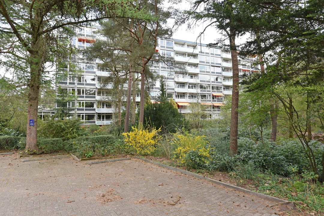 Foto 23 van Eper Veste 109