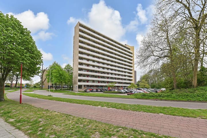 Foto 2 van Dunantstraat 1055