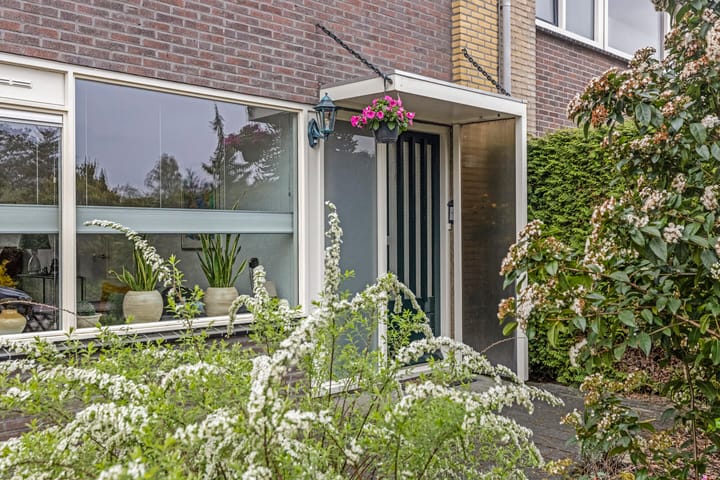 Foto 5 van Straat Formosa 92