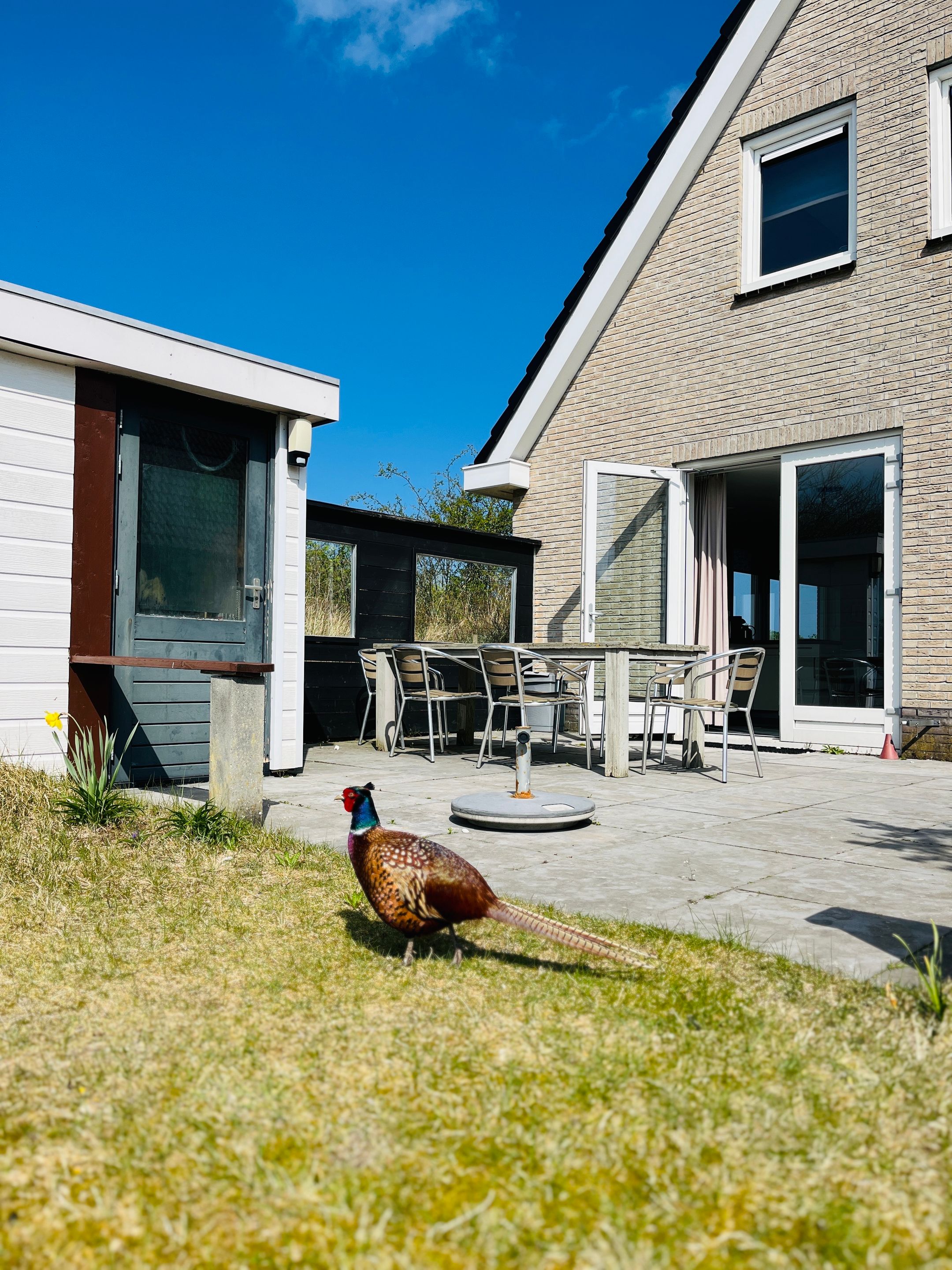 Foto 18 van Badweg 111