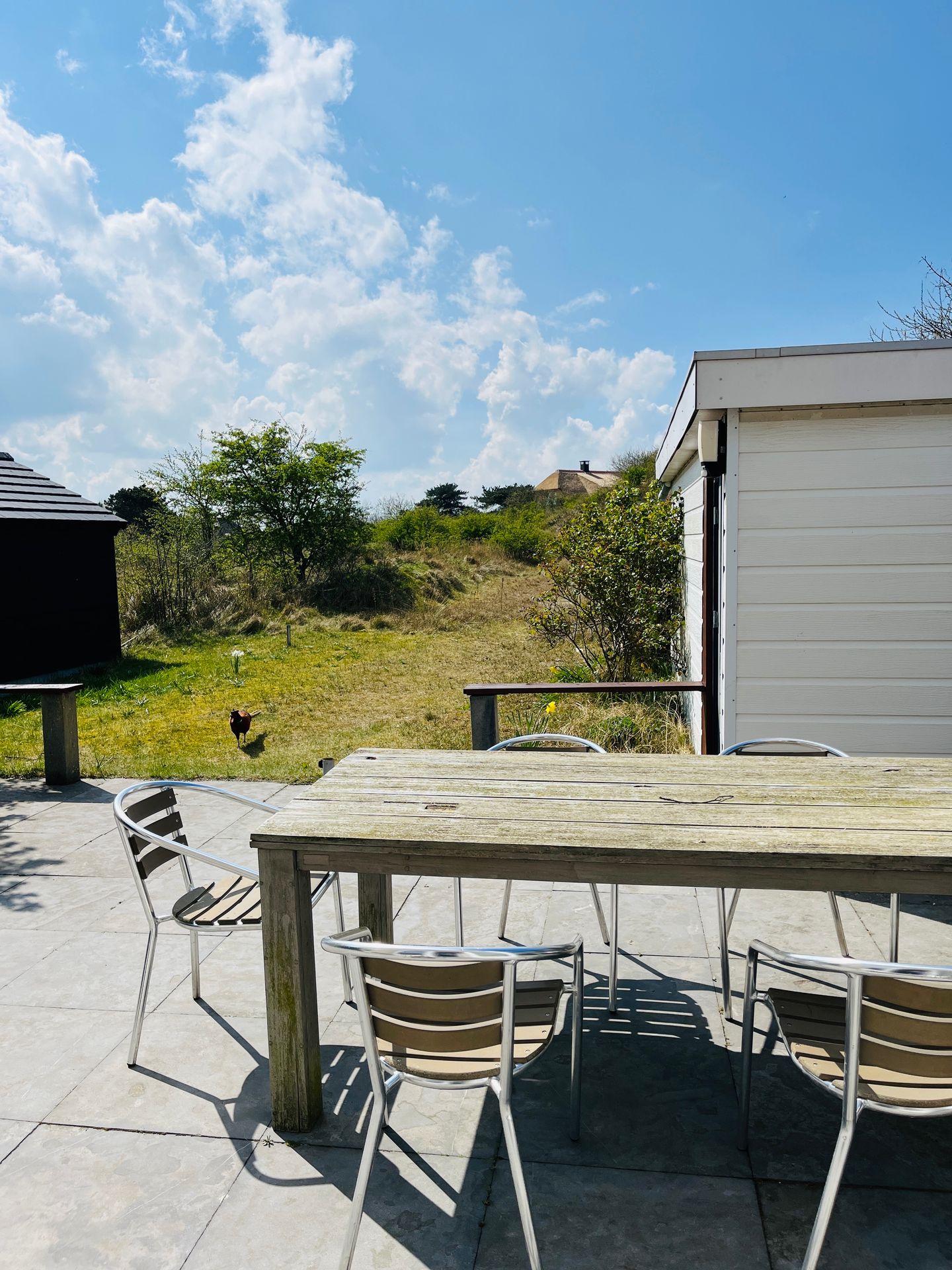 Foto 19 van Badweg 111