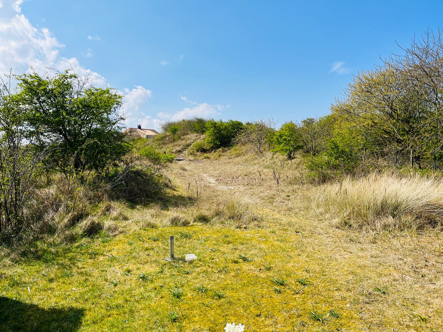 Foto 20 van Badweg 111