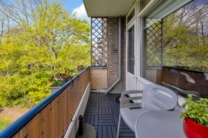 Photo 19 of Lievenshof 47