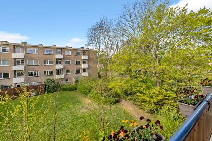 Photo 20 of Lievenshof 47