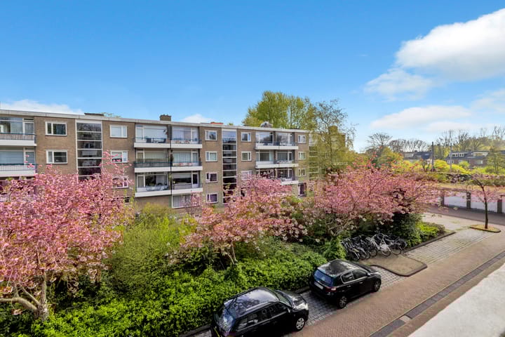 Photo 27 of Lievenshof 47