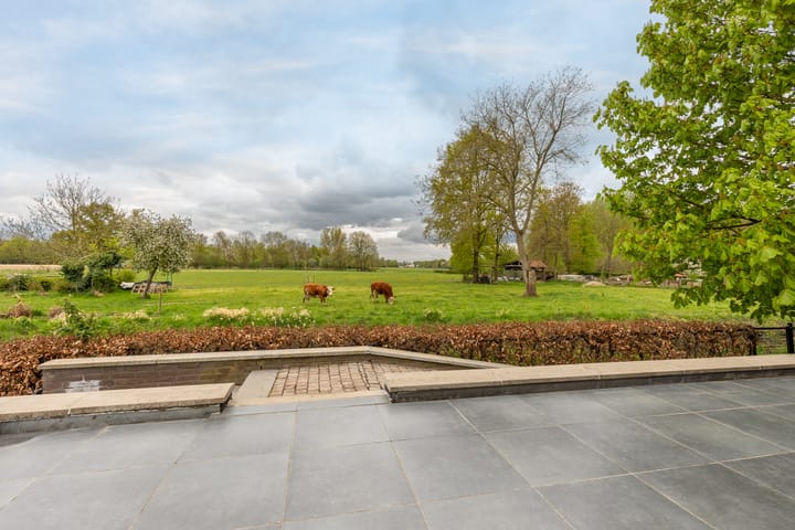 Foto 23 van Caecilialaan 3