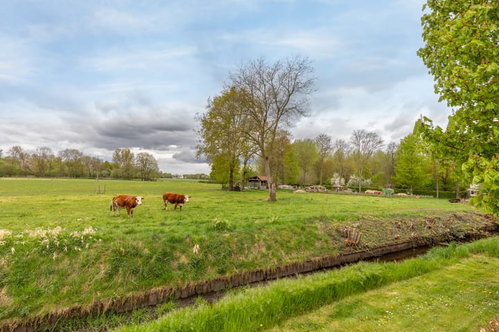 Foto 24 van Caecilialaan 3