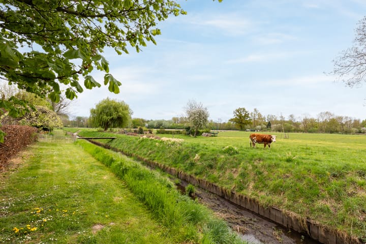 Foto 25 van Caecilialaan 3