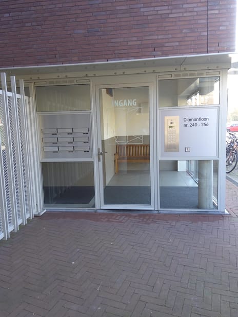 undefined main image